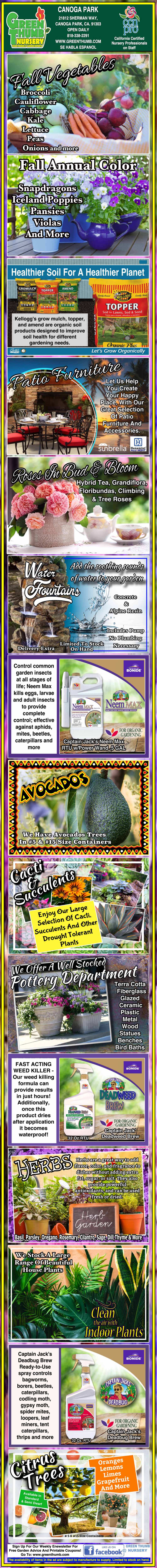 Colorful infographic on avocado farming, covering seedling care, irrigation, fertilization, common diseases, pest management, and recommended agrochemical products.