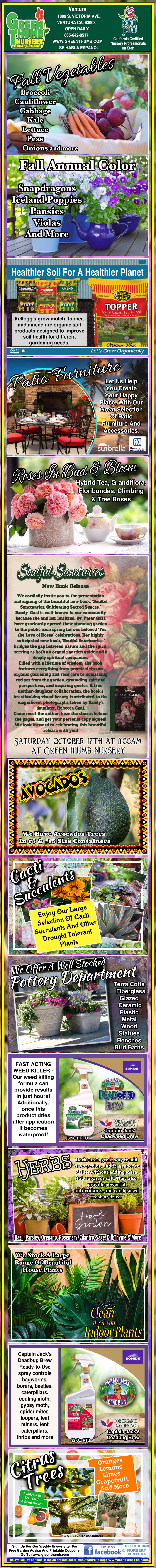 Green Thumb Nursery advertisement featuring sections for fall vegetables, flowers, garden supplies, patio furniture, roses, a book signing event, avocados, cacti, pottery, weed killer, herbs, houseplants, and citrus trees.